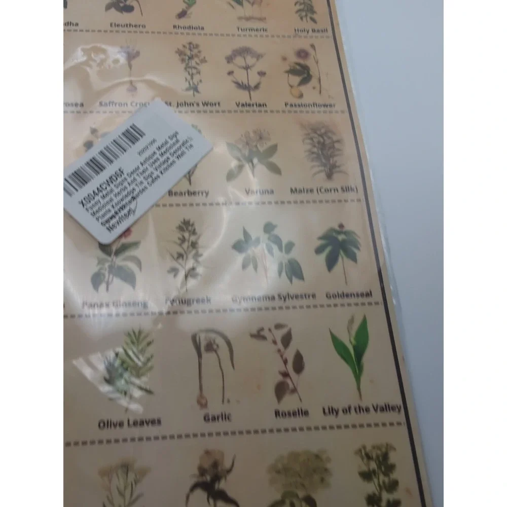 Medicinal Herbs And There‎ Uses-Steel Decor Sign 12x8